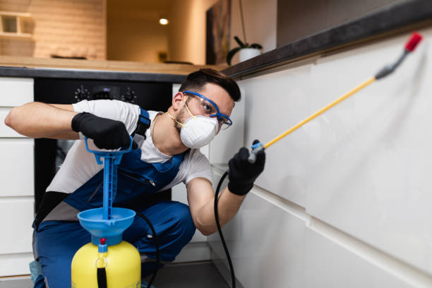 Best Local Pest Control Services  in New Richmond, OH
