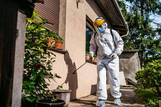 Best Spider Control Near Me  in New Richmond, OH