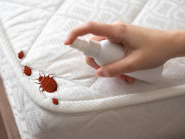 Best Pest Prevention Services  in New Richmond, OH